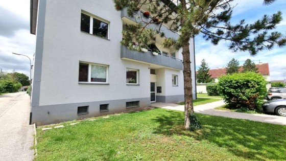 bild1