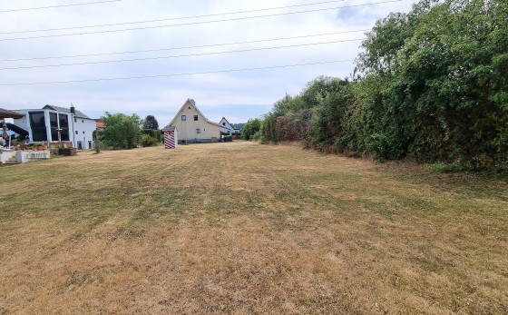 bild1