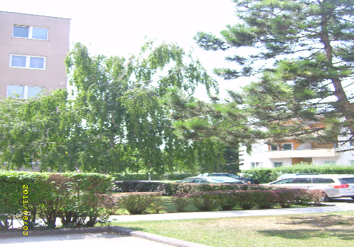 bild1